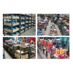 bandenpomp profi 10bar